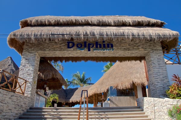 Dolphin Discovery mit einem tropische Szenerien und Beschilderung