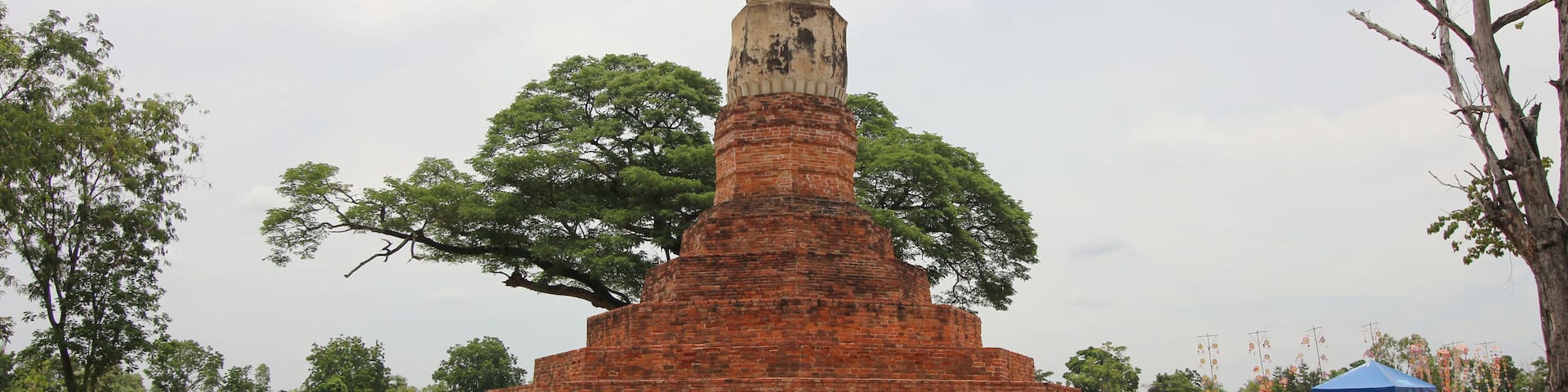 A large brick stupa surrounded by grass and trees.