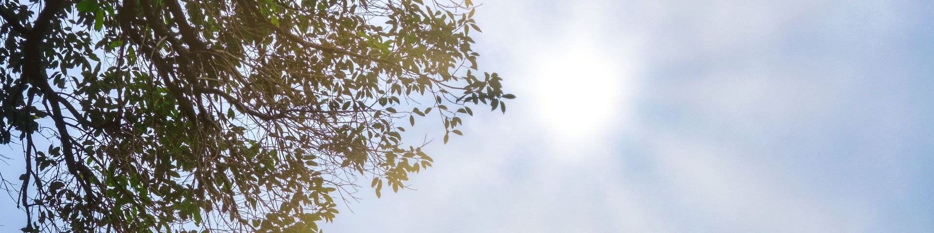 The entrance to Wat Tham Erawan temple is an elephant statue raising a Buddha statue