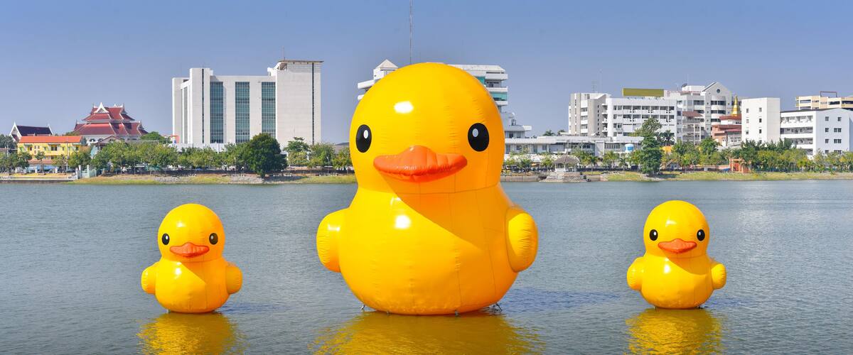 three Giant yellow rubber ducks in the lake of Udon thani province, Thailand. panorama size