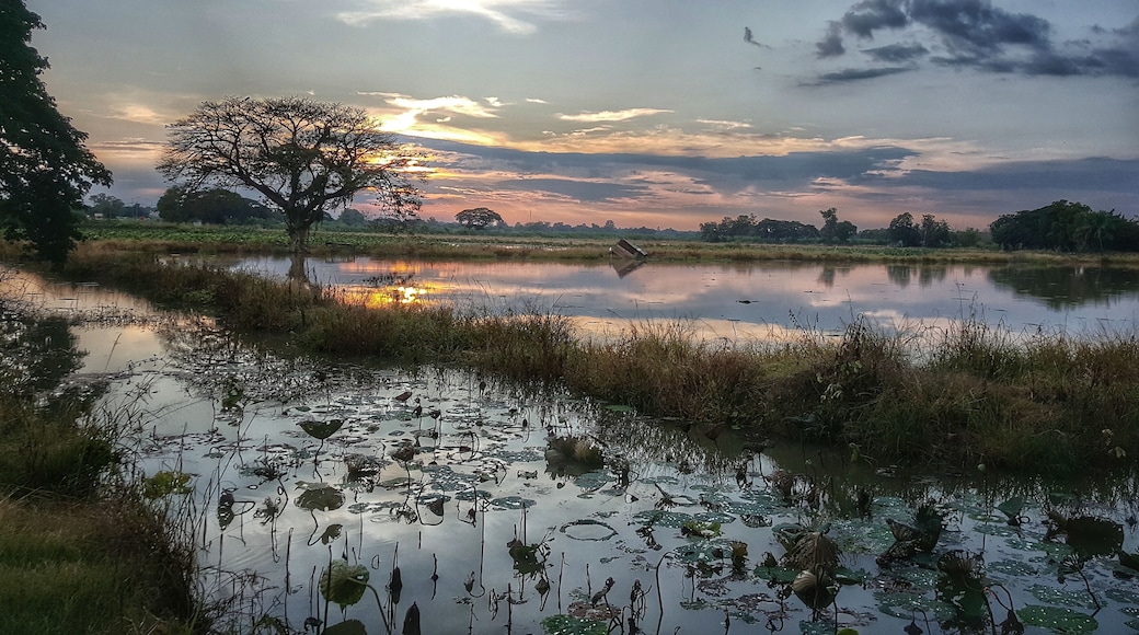 Usually full of Lotus flowers which makes exceptionally beautiful photos, but catch the right sunset when no lotus flowers are growing and you get more fantastic results