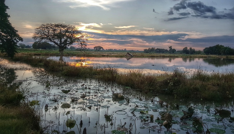 Usually full of Lotus flowers which makes exceptionally beautiful photos, but catch the right sunset when no lotus flowers are growing and you get more fantastic results