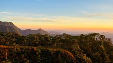Panoramic beautiful sunset landscape from the pine forest in the national park on top mountain at Uttaradit Province, Thailand.