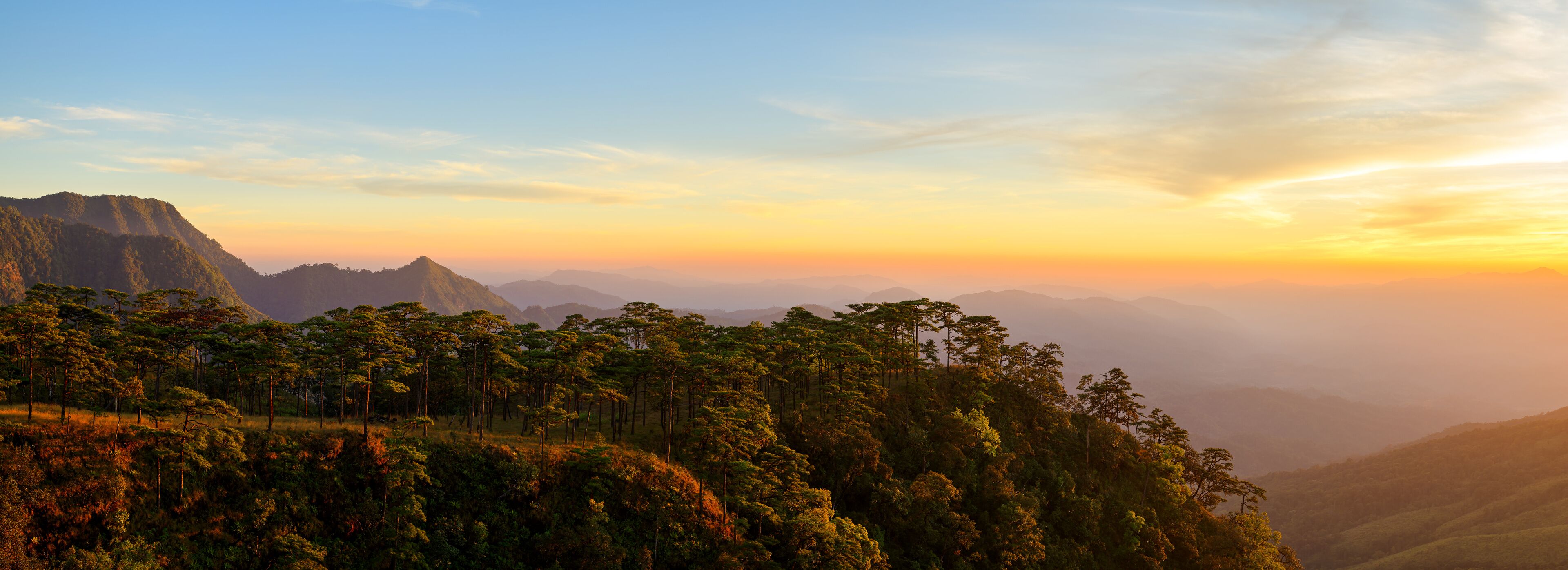A mountainous landscape with dense forests and a clear sky at sunset.