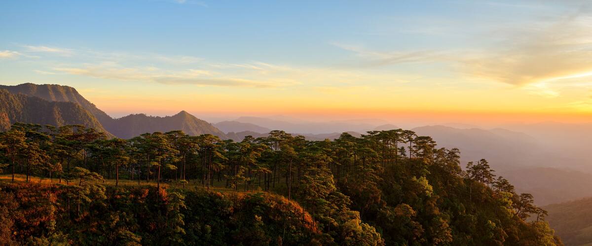 A mountainous landscape with dense forests and a clear sky at sunset.
