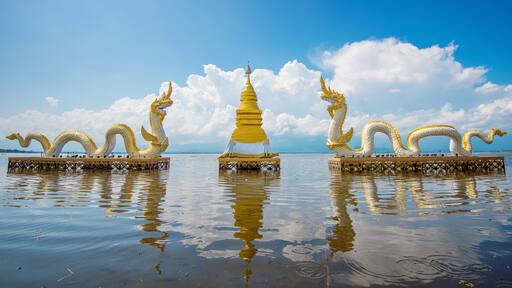 Kwan Phayao (Phayao lake) is popular natural attraction in Phaya