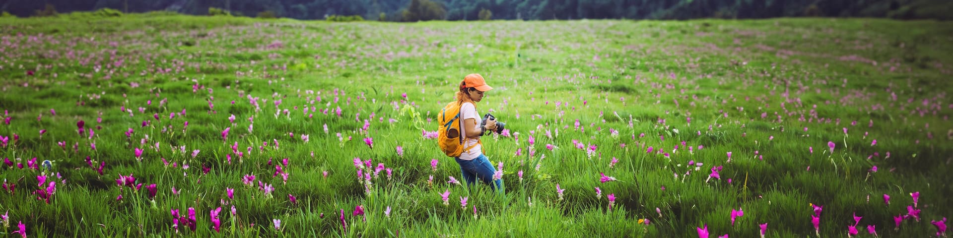 Asian woman travel nature. Travel relax. Photography Cucumber sessilis flower field.