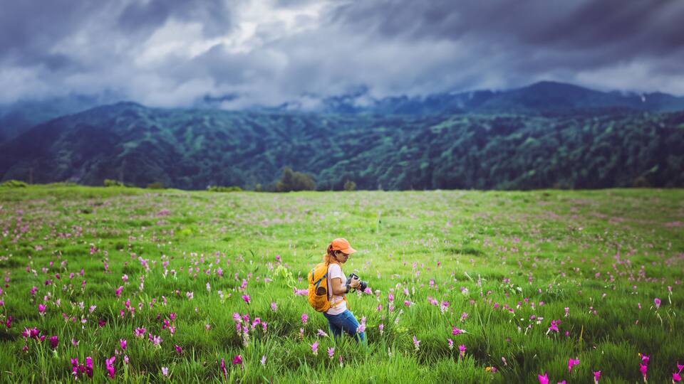 Asian woman travel nature. Travel relax. Photography Cucumber sessilis flower field.