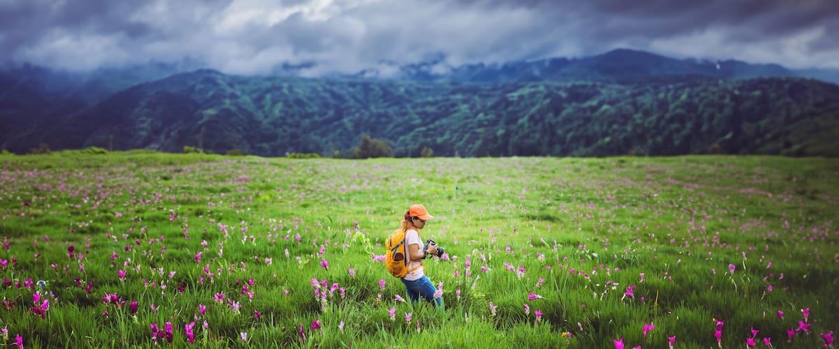 A person in a field of flowers with mountains in the background.
