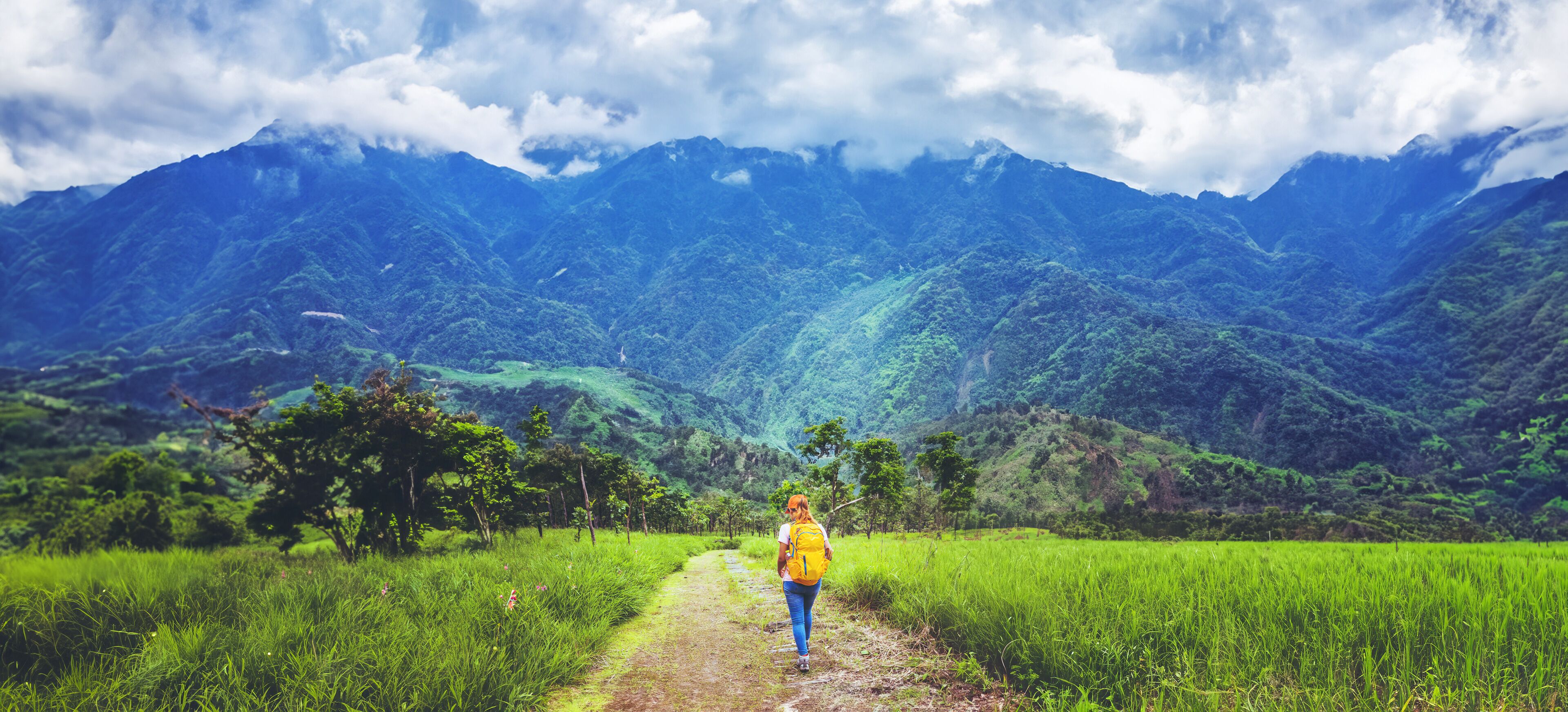 woman Asian travel nature. Travel relax. Walk study the path Nature in the forest