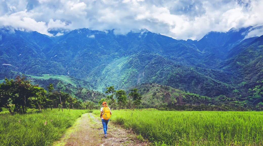 woman Asian travel nature. Travel relax. Walk study the path Nature in the forest