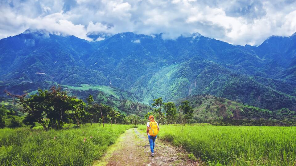 woman Asian travel nature. Travel relax. Walk study the path Nature in the forest