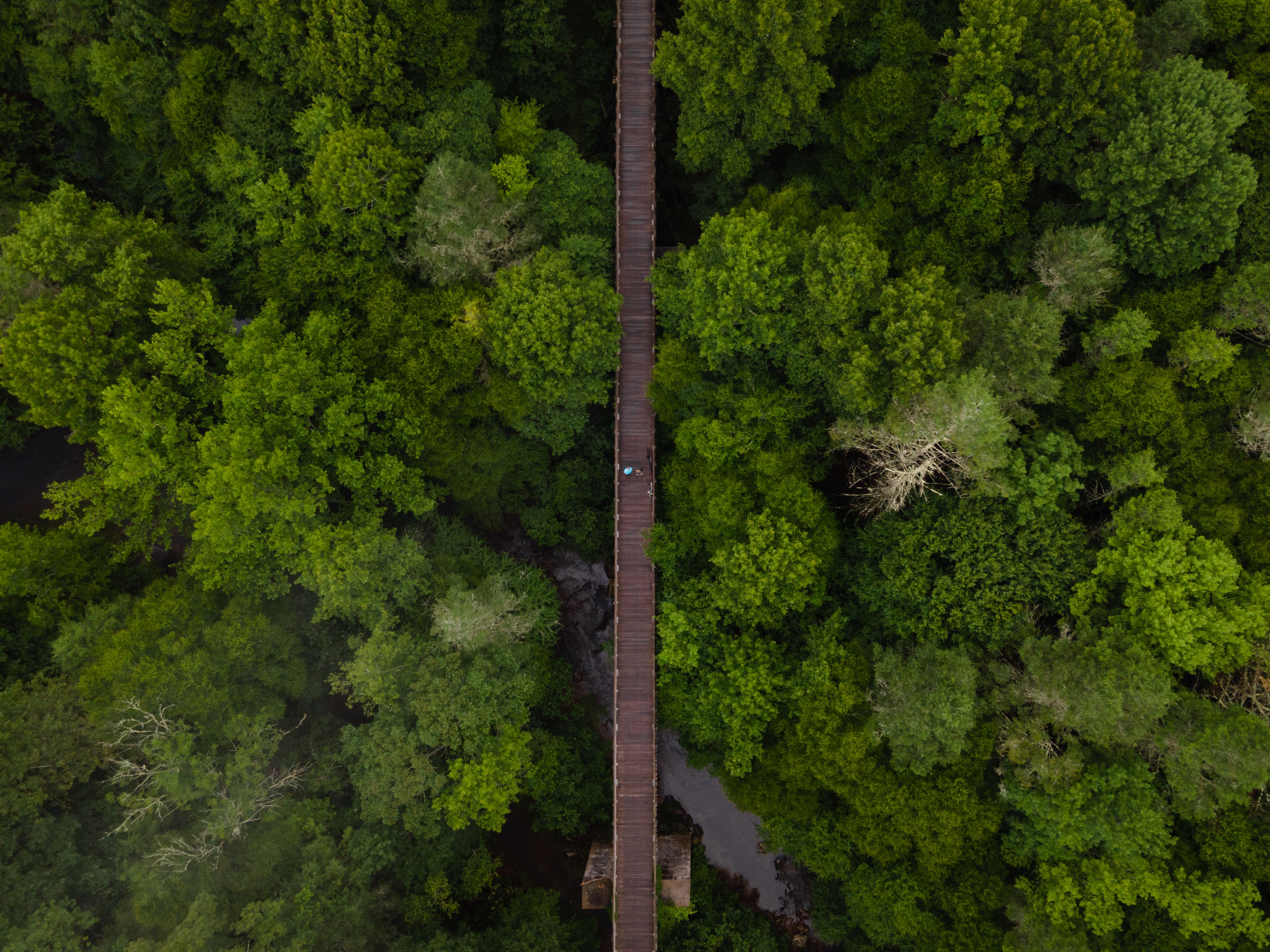 Aerial View of the Virginia Creeper Trail near Damascus, Virginia