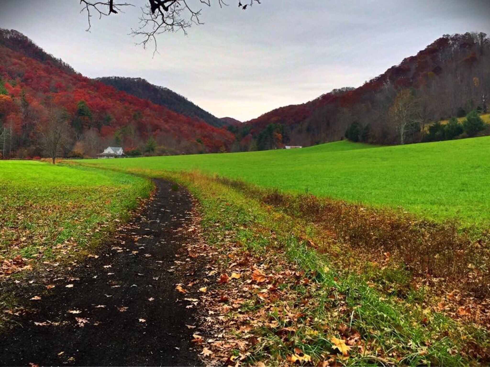 Fall on the Virginia Creeper.