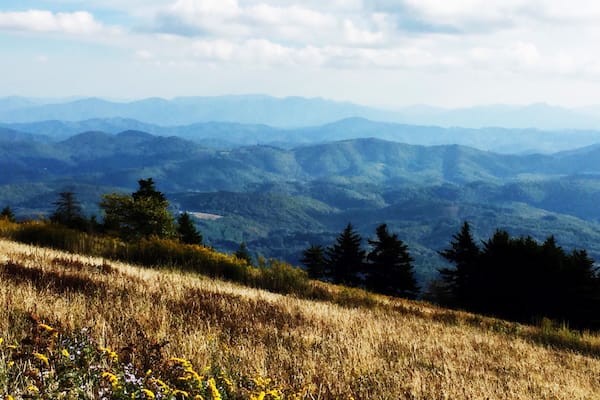 A mountainous landscape with rolling hills, dense forests, and a clear sky.