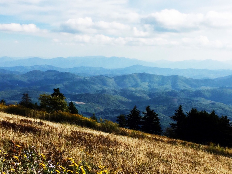 Great views of the Appalachian Mountains from the grassy fields on top of Whitetop Mountain.