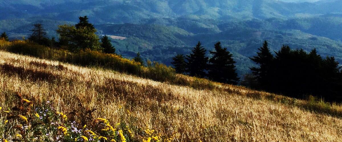 A mountainous landscape with rolling hills, dense forests, and a clear sky.