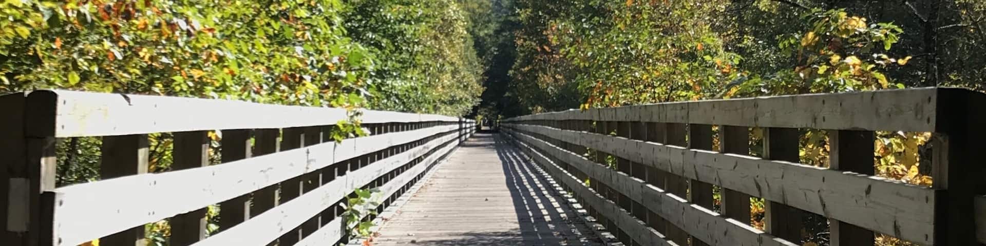 Running 18 miles from Whitetop Station to Damascus, the Virginia Creeper Trail is one of the most beautiful “rail trails” in the eastern United States. Along the way, you’ll cross approximately 30 old bridges, several with beautiful views of the surrounding countryside. Plan on visiting in mid-October for the best fall colors.