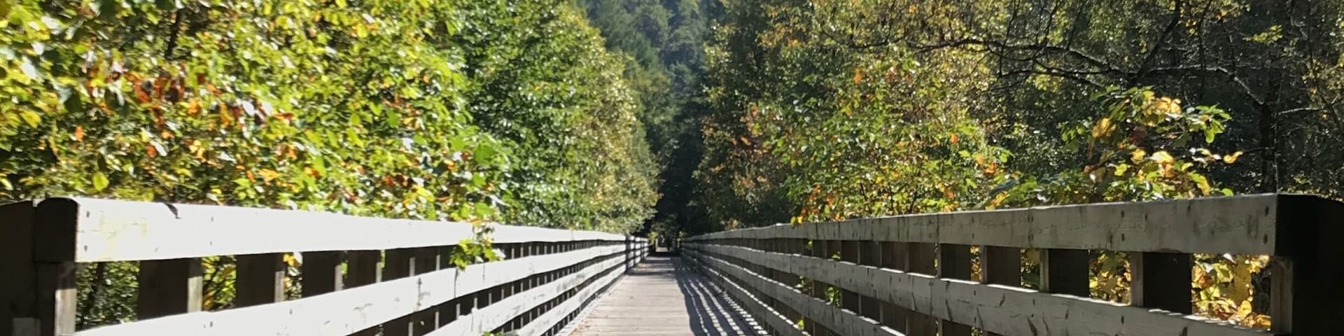 Running 18 miles from Whitetop Station to Damascus, the Virginia Creeper Trail is one of the most beautiful “rail trails” in the eastern United States. Along the way, you’ll cross approximately 30 old bridges, several with beautiful views of the surrounding countryside. Plan on visiting in mid-October for the best fall colors.