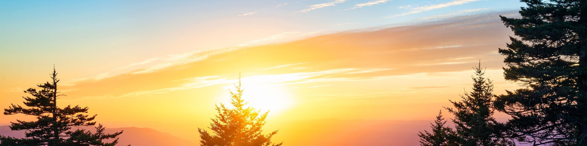 A sunrise over a mountainous landscape with coniferous trees and wildflowers.