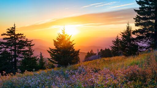 Scenic summer sunset over mountain side meadow in the appalachian mountains of virginia