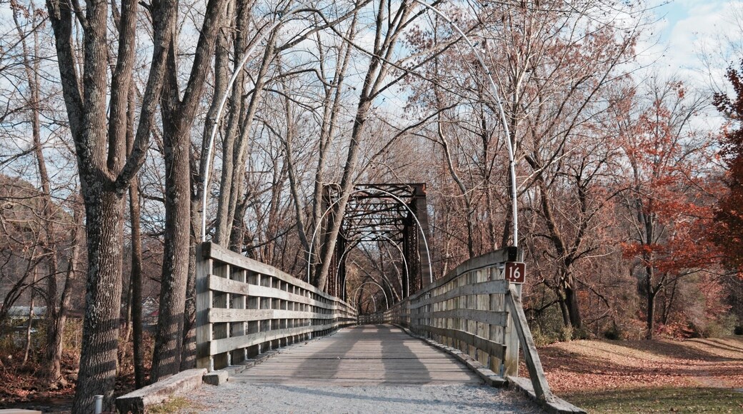 Pictured here is a segment of the Virginia Creeper Trail, a 34.3-mile rail-trail stretching from Abingdon, Virginia, to Whitetop, Virginia. According to locals, it has been described as the best mountain bike trail in the east. This trail is open to bikers, hikers, and horseback riders year-round. Appalachia is known for its abundance of opportunities to get outside and actively enjoy its beauty; the Virginia Creeper Trail is just one relatively popular example of this. #appalachianechoes