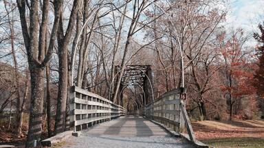 Pictured here is a segment of the Virginia Creeper Trail, a 34.3-mile rail-trail stretching from Abingdon, Virginia, to Whitetop, Virginia. According to locals, it has been described as the best mountain bike trail in the east. This trail is open to bikers, hikers, and horseback riders year-round. Appalachia is known for its abundance of opportunities to get outside and actively enjoy its beauty; the Virginia Creeper Trail is just one relatively popular example of this. #appalachianechoes