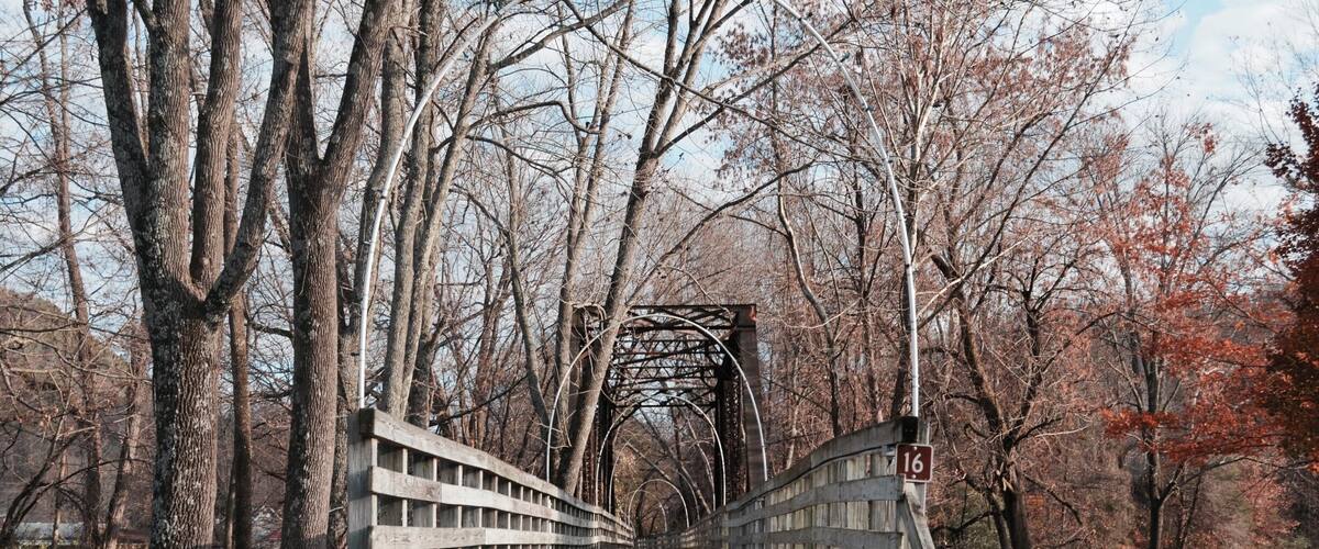 A wooden pedestrian bridge with a metal arch, surrounded by trees with autumn foliage.