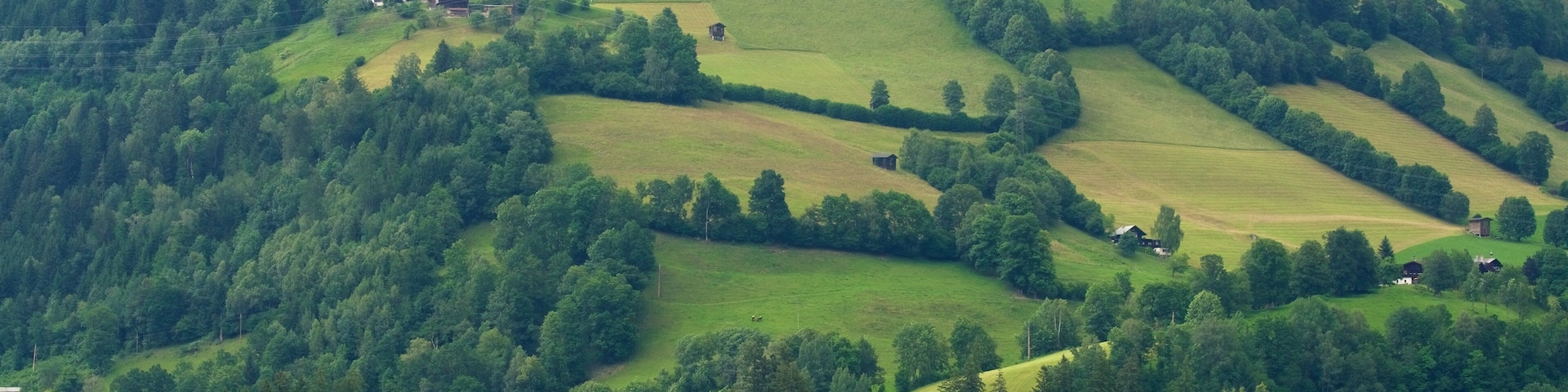 Lake Zell showing tranquil scenes and a lake or waterhole