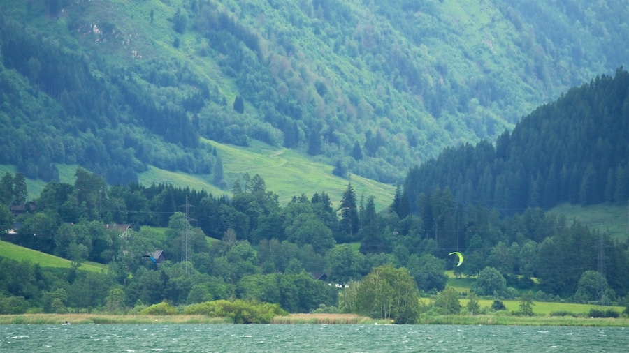 Lake Zell showing tranquil scenes, forest scenes and a lake or waterhole