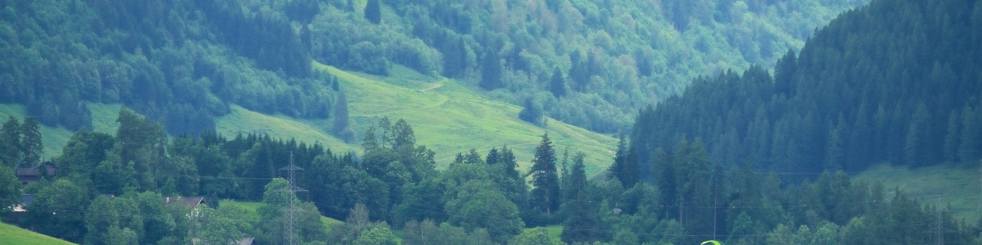 Lake Zell showing tranquil scenes, forest scenes and a lake or waterhole