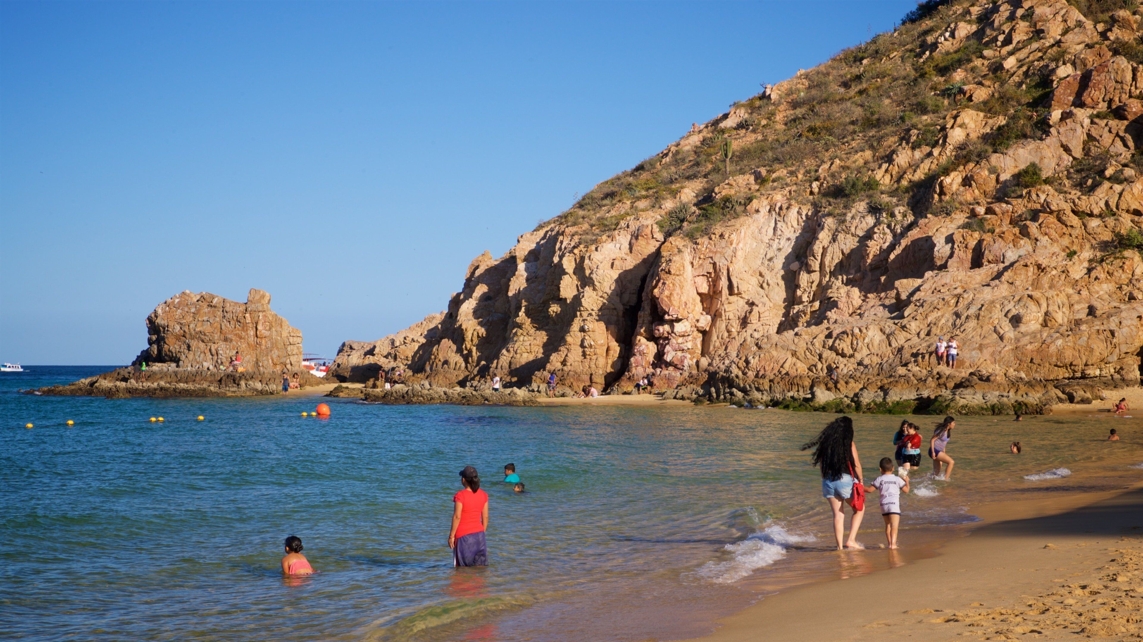 Cannery Beach which includes general coastal views, swimming and a beach
