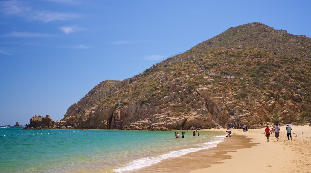 Cannery Beach showing general coastal views, a sandy beach and rugged coastline