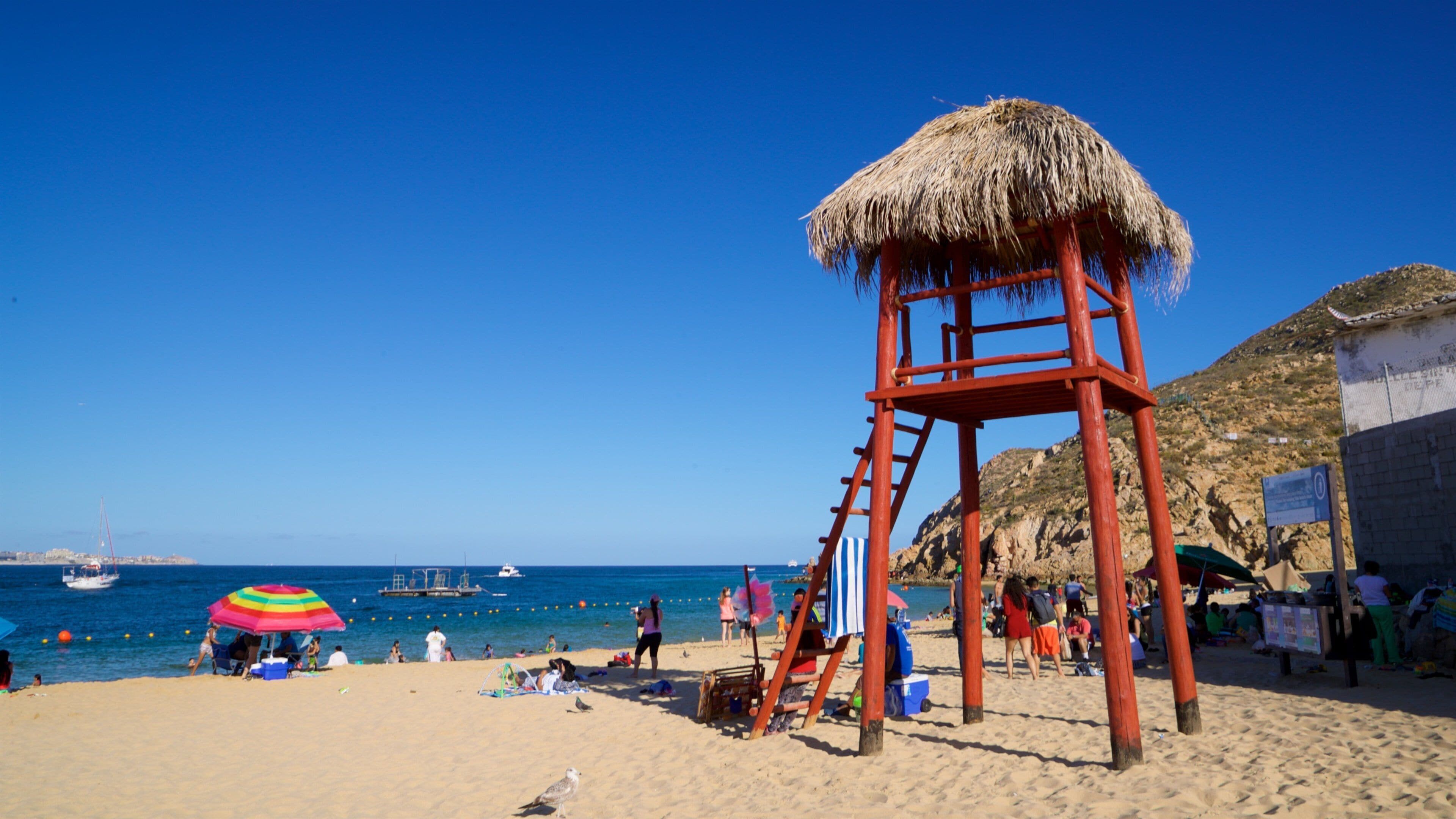 Cannery Beach showing a sandy beach and general coastal views as well as a small group of people