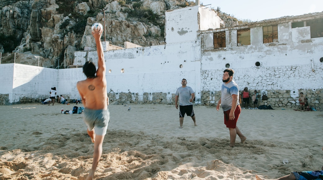 Cannery Beach showing a beach as well as a small group of people