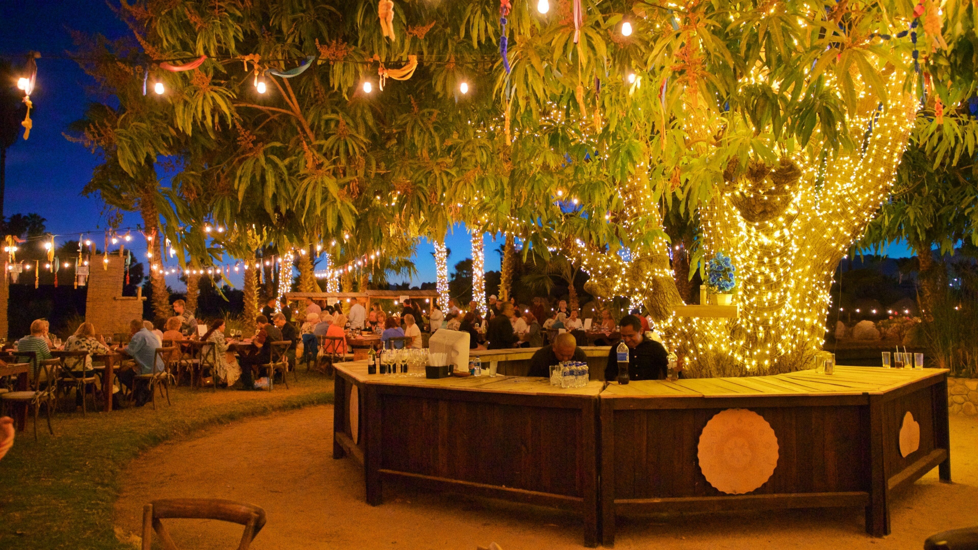 Wirikuta Garden featuring night scenes, dining out and outdoor eating