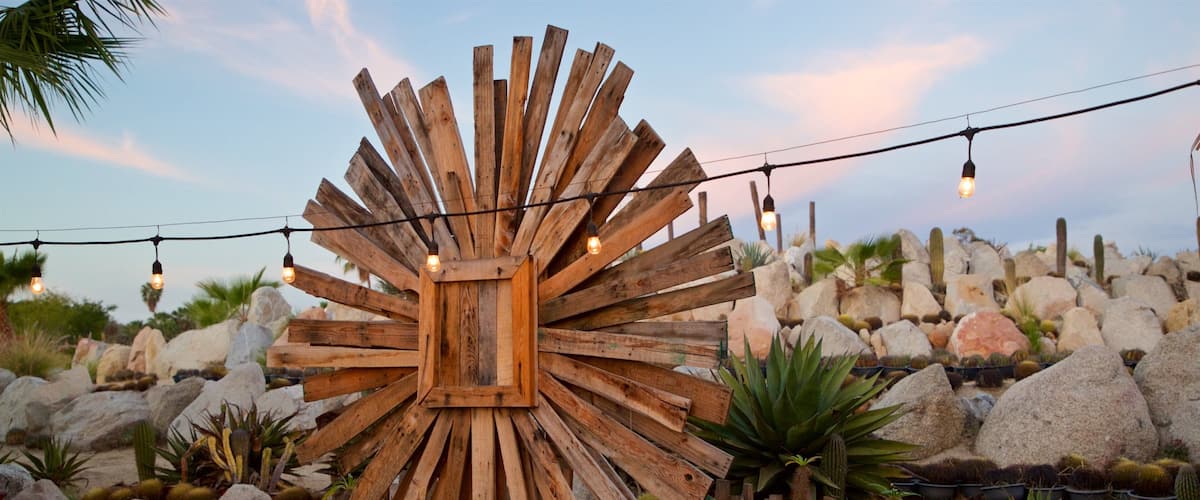 Wirikuta Botanical Cactus Garden showing outdoor art and a sunset