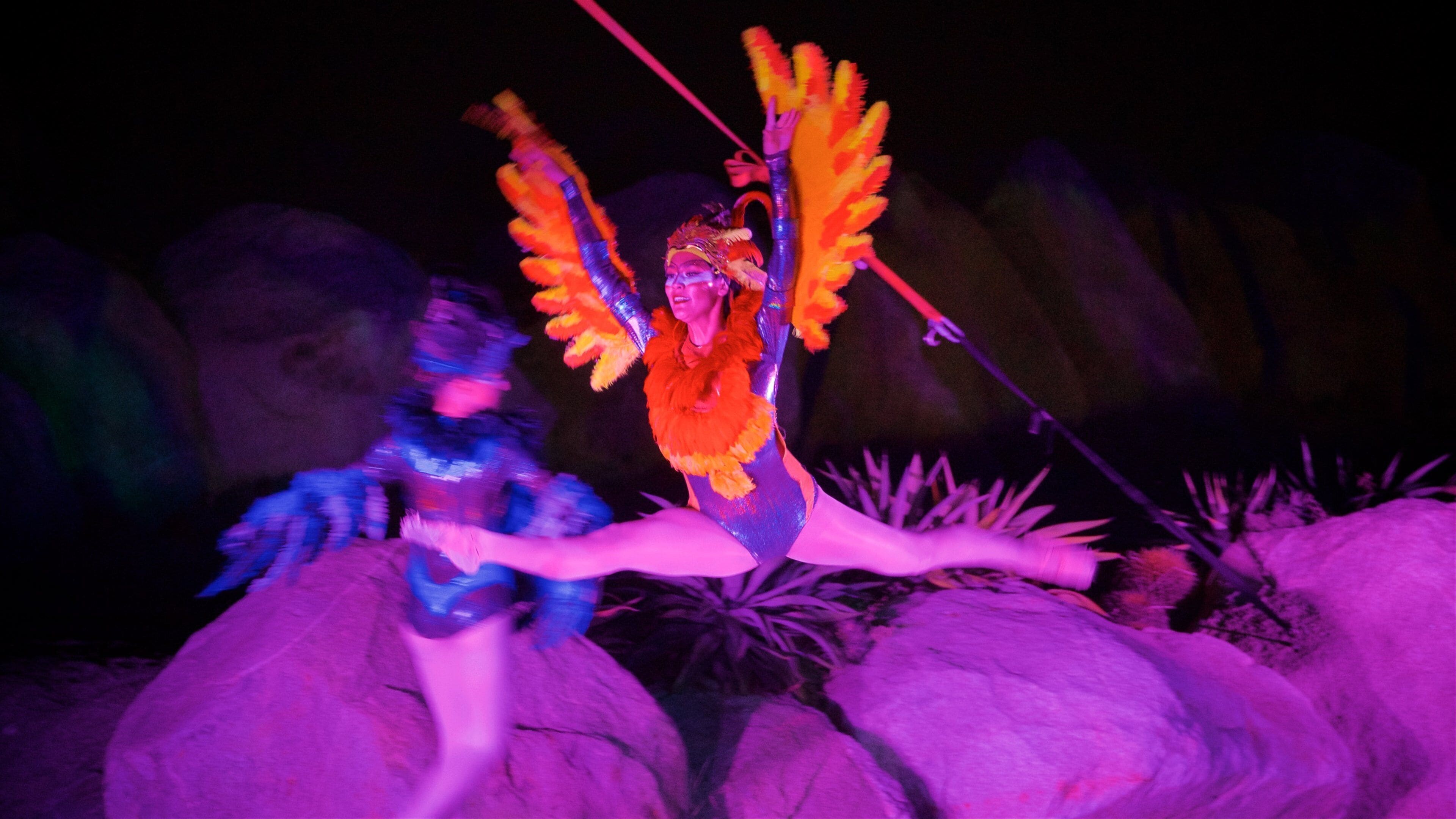 Wirikuta Garden which includes performance art, night scenes and indigenous culture