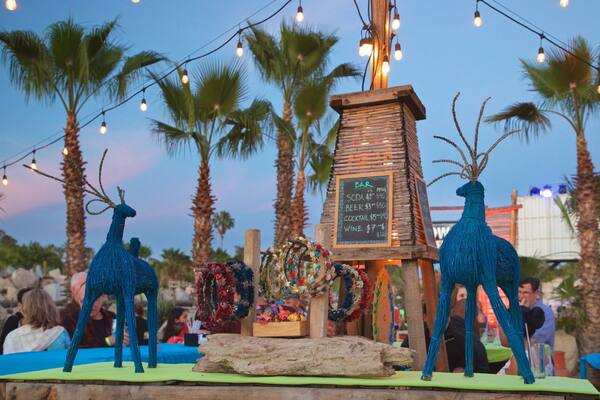 Wirikuta Garden which includes a sunset and outdoor art