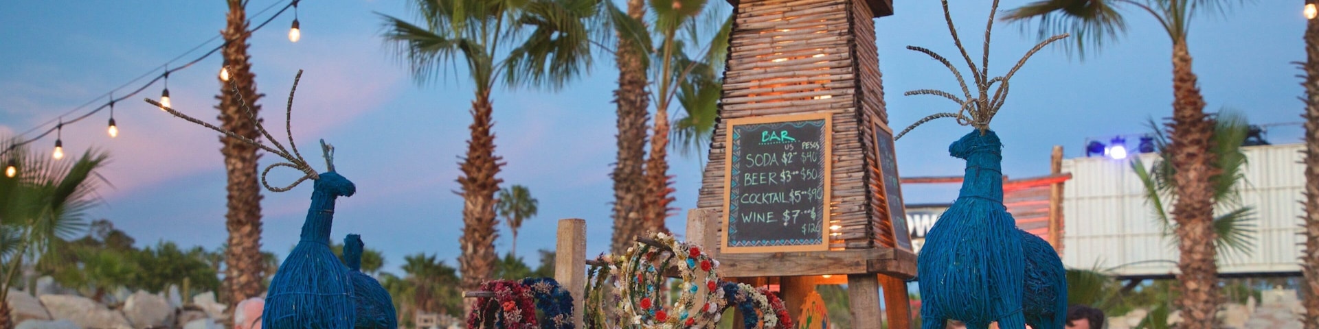 Wirikuta Garden which includes a sunset and outdoor art