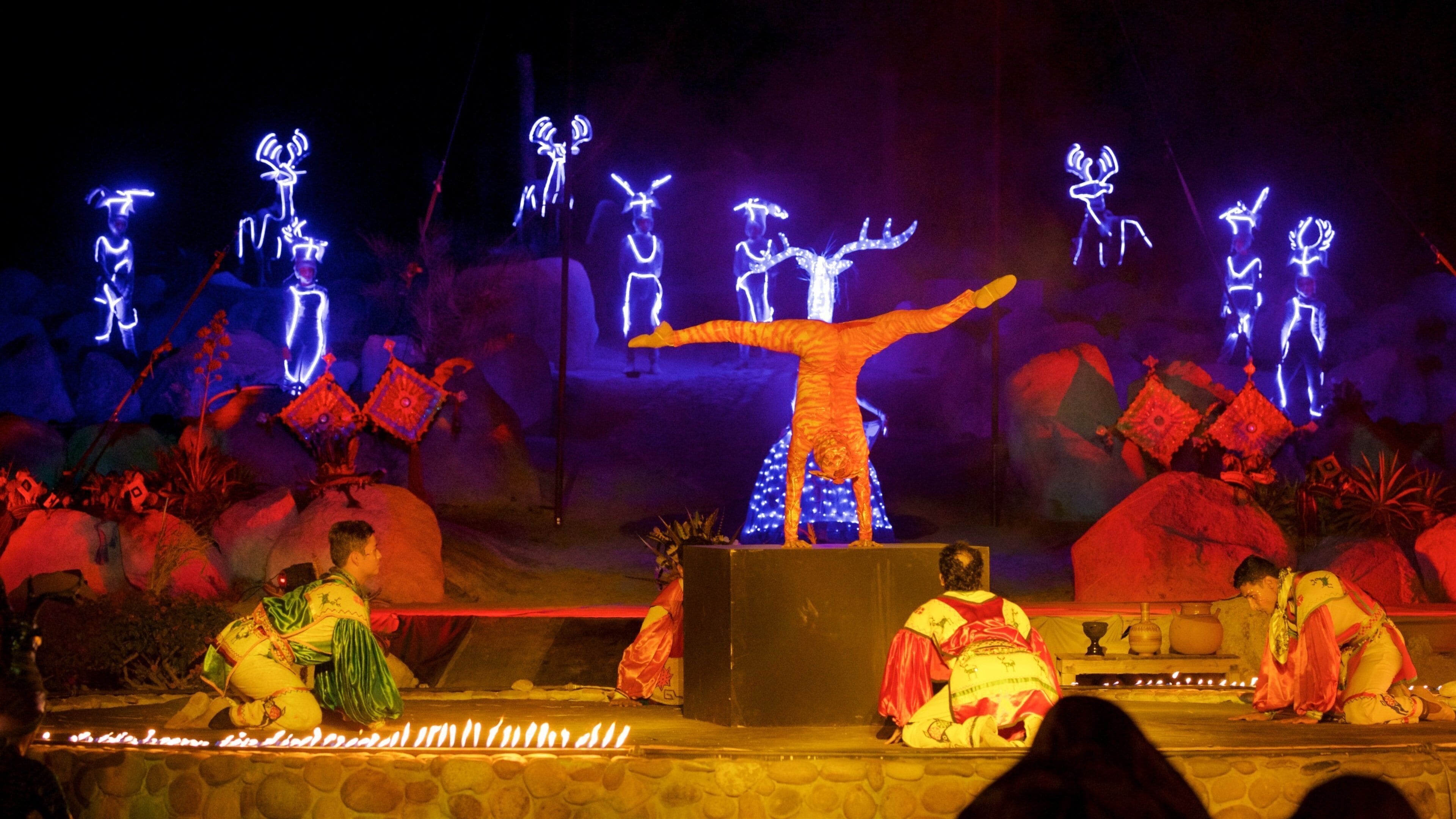 Wirikuta Garden showing night scenes, performance art and indigenous culture
