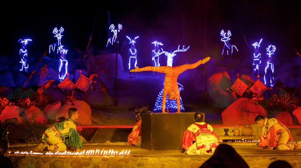 Wirikuta Garden showing night scenes, performance art and indigenous culture