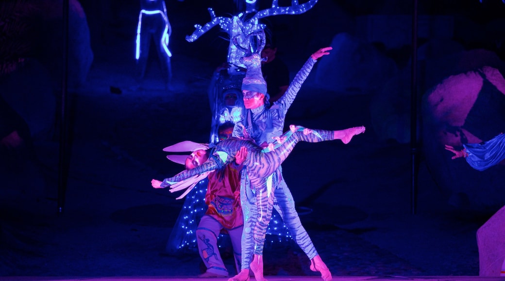 Wirikuta Garden featuring performance art, indigenous culture and night scenes