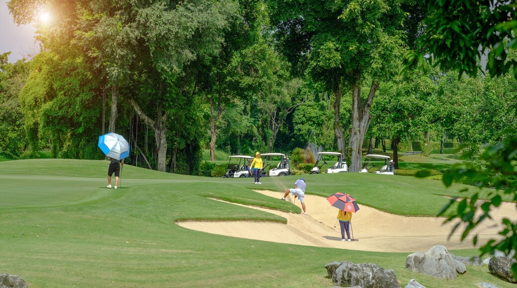 Golfer hitting the ball on the sand in green grass background in golf course ,Bangkok Thailand