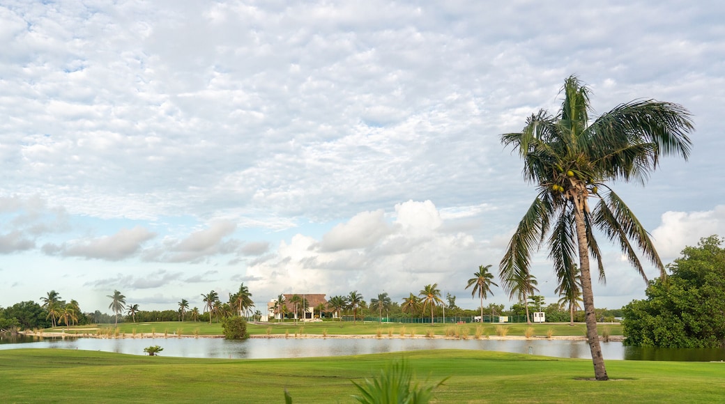 Riviera Cancún Golf Resort
