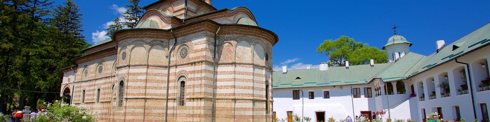 Cozia Monastery showing a garden