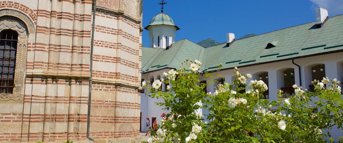 Klooster van Cozia inclusief een tuin