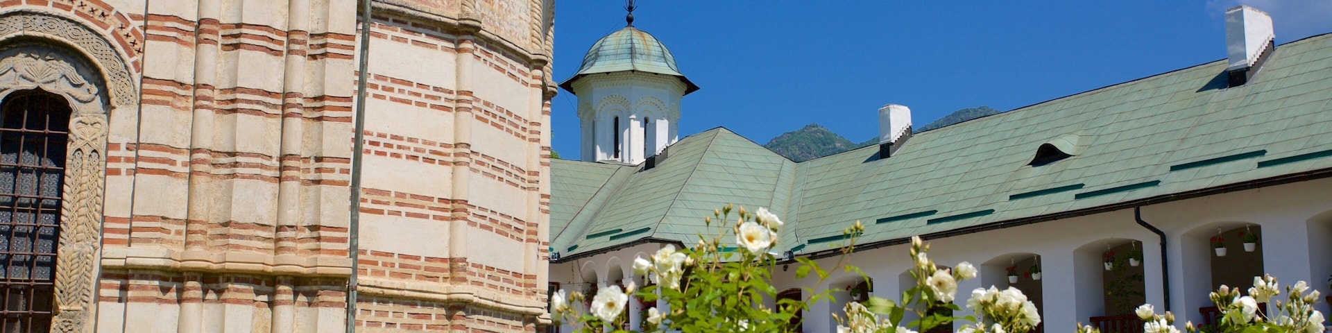 Klooster van Cozia toont een park