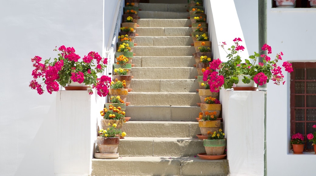 Mănăstirea Cozia-klostret som inkluderar blommor