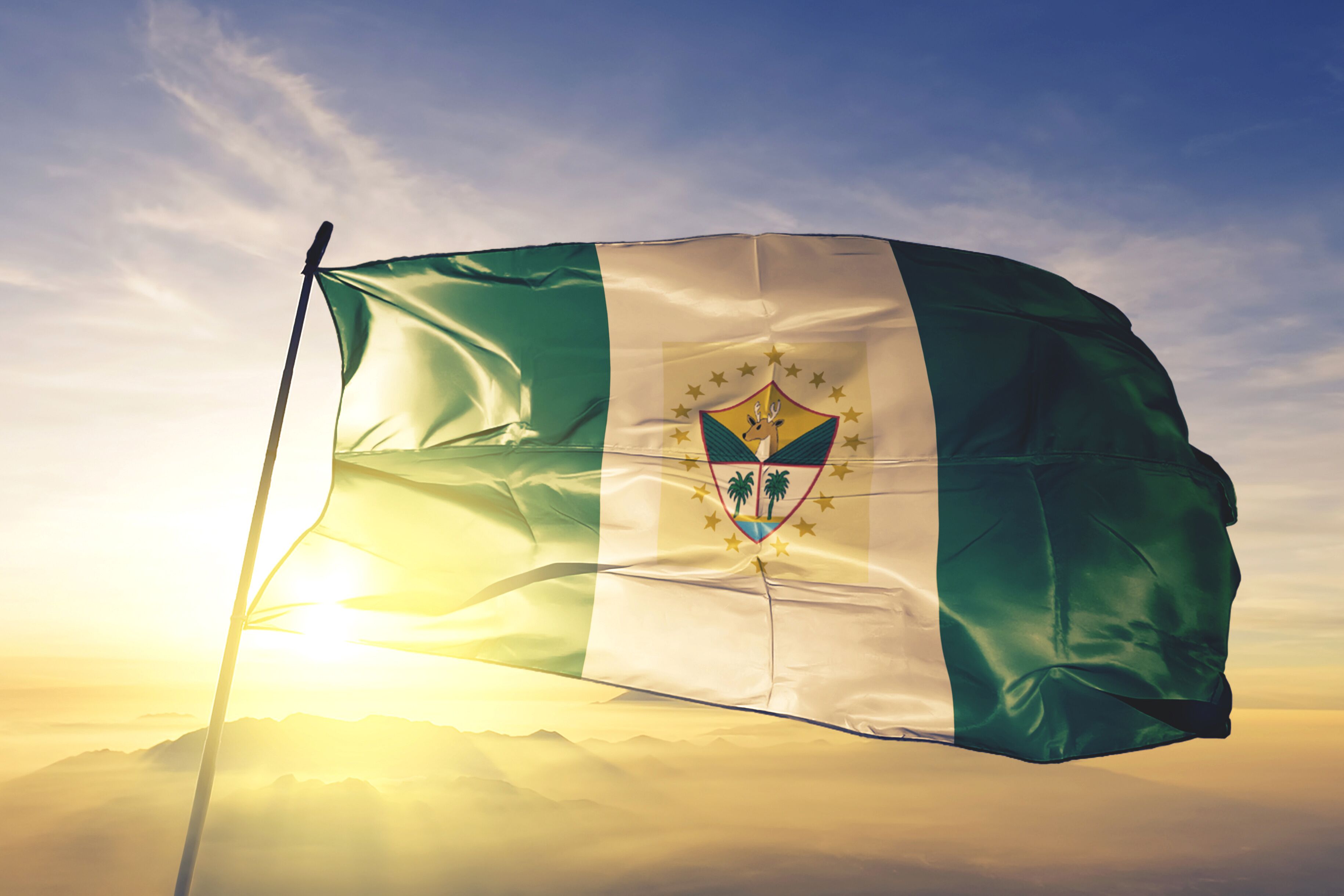 A flag with a green and white design and a shield emblem, waving against a sunrise sky.